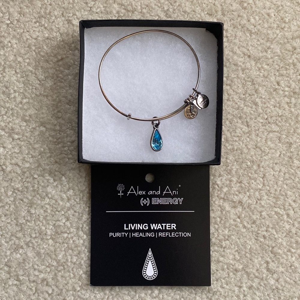 Alex and Ani Silver Living Water Bracelet